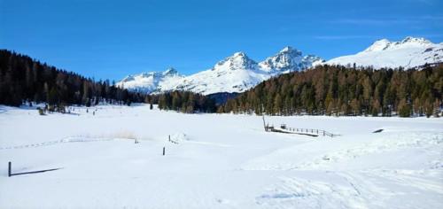Engadina 2019