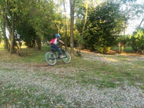 Bici (5)