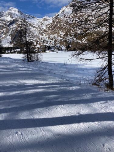 IMG-20230213-WA0001